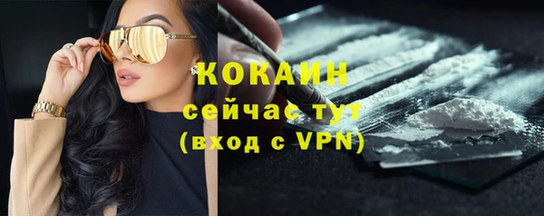 бошки Бронницы