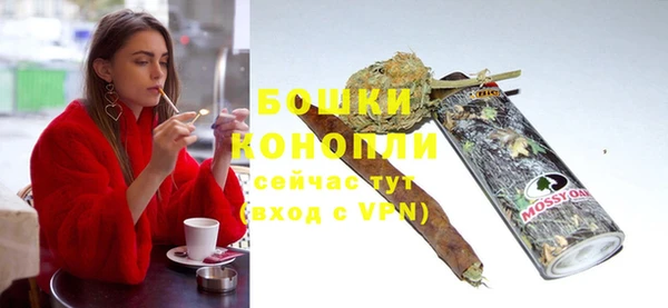 бошки Бронницы