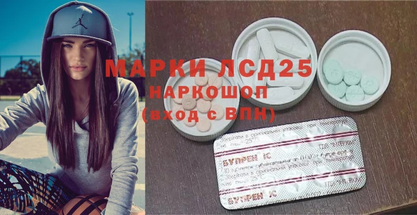 прущие грибы Бугульма