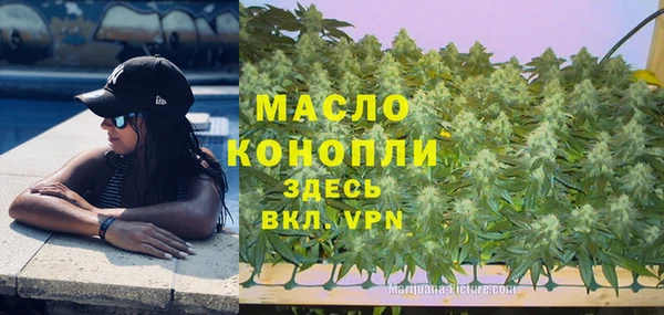 бошки Бронницы