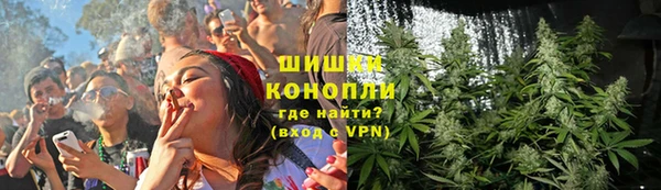 бошки Бронницы