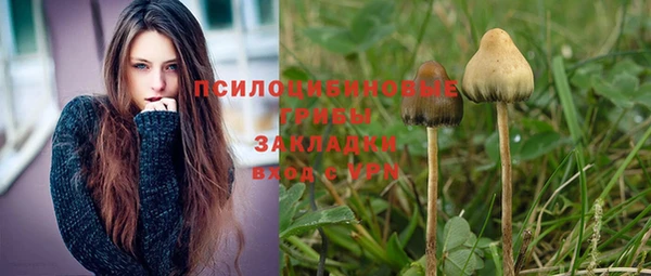 бошки Бронницы
