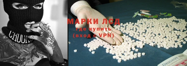 прущие грибы Бугульма
