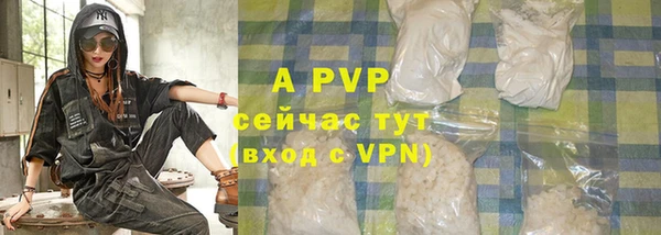 тгк Ростов