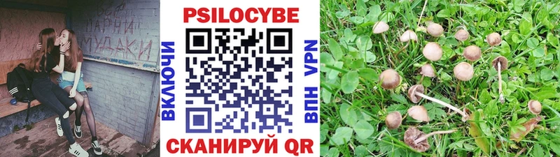 блэк спрут сайт  закладка  Раменское  Галлюциногенные грибы Psilocybine cubensis 